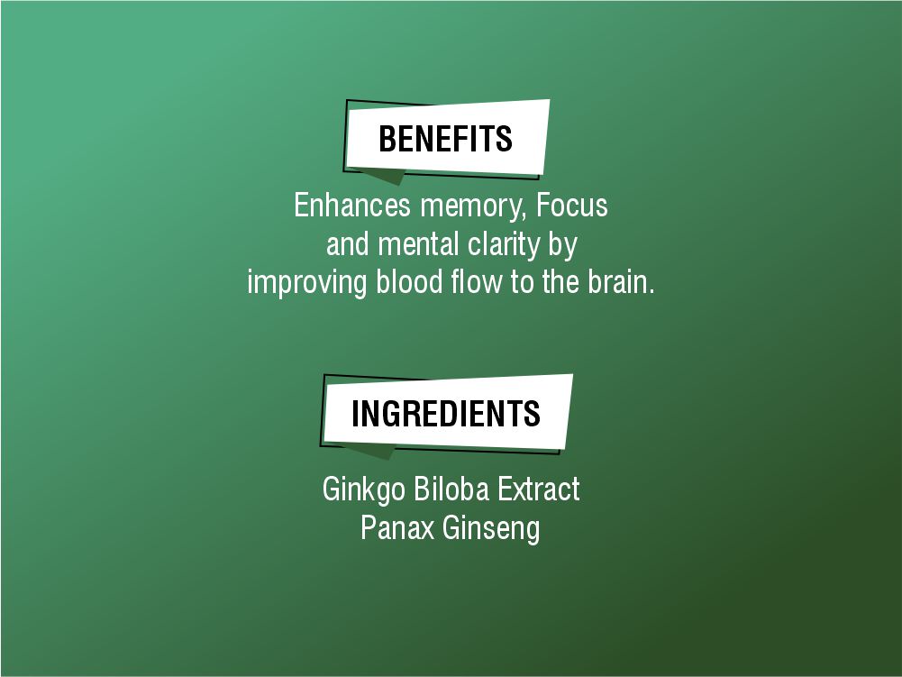 GINKGO BILOGA ENERGY SUPPORT 02