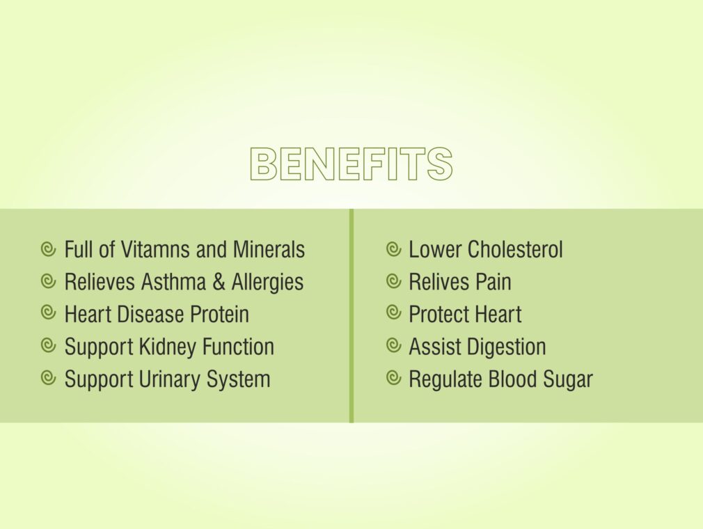 ALFALFA POWDER 03.jpg