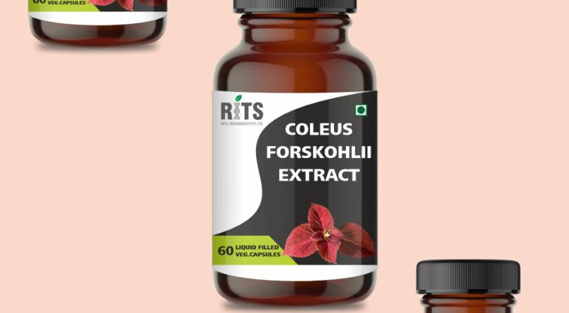 COLEUS FORSKOHLII EXTRACT 01 COLEUS FORSKOHLII EXTRACT 01