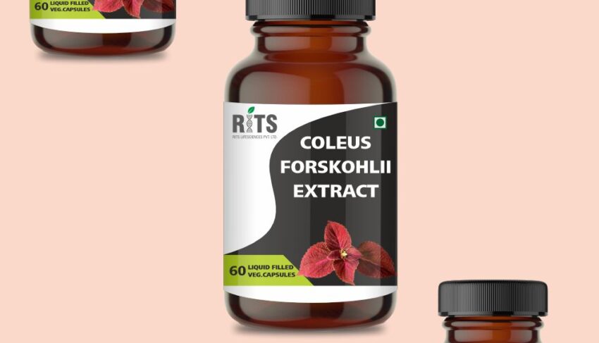 COLEUS FORSKOHLII EXTRACT 01