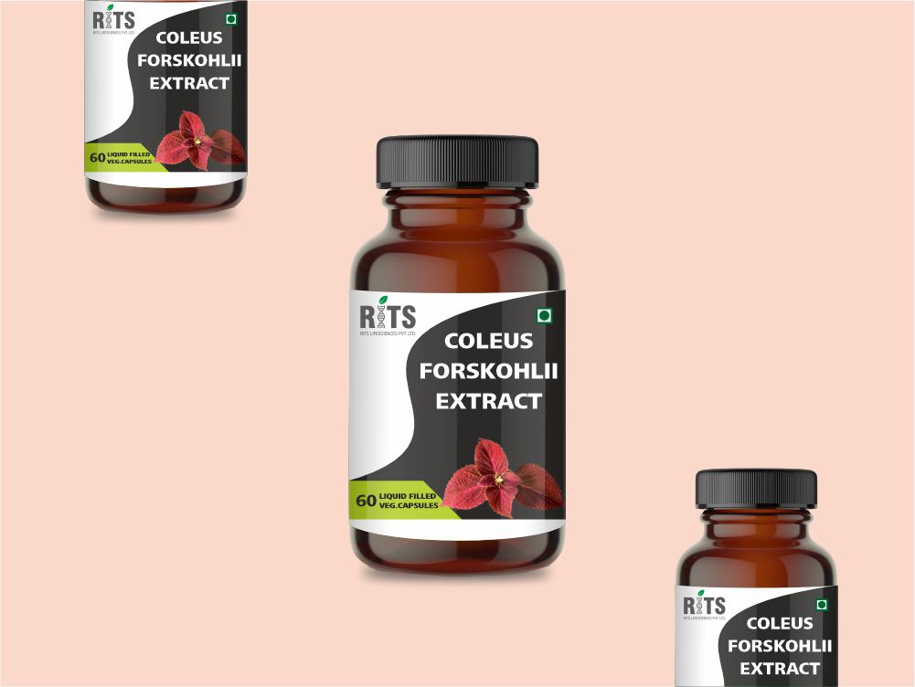 COLEUS FORSKOHLII EXTRACT 02