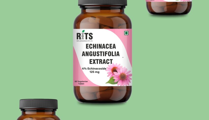 ECHINACEA ANGUSTIFOLIA EXTRACT 01