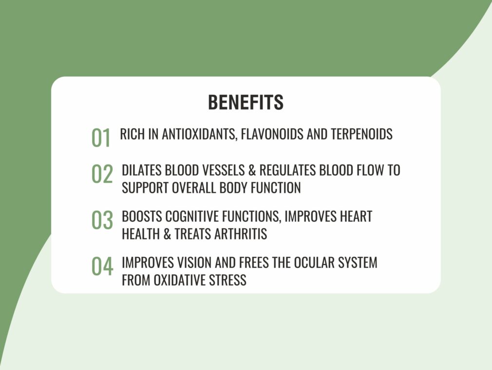 GINKGO BILOBA CAPSULE 03.jpg