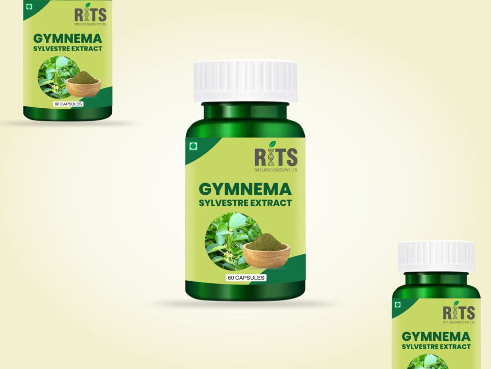 GYMNEMA SYLVESTRE 02.jpg
