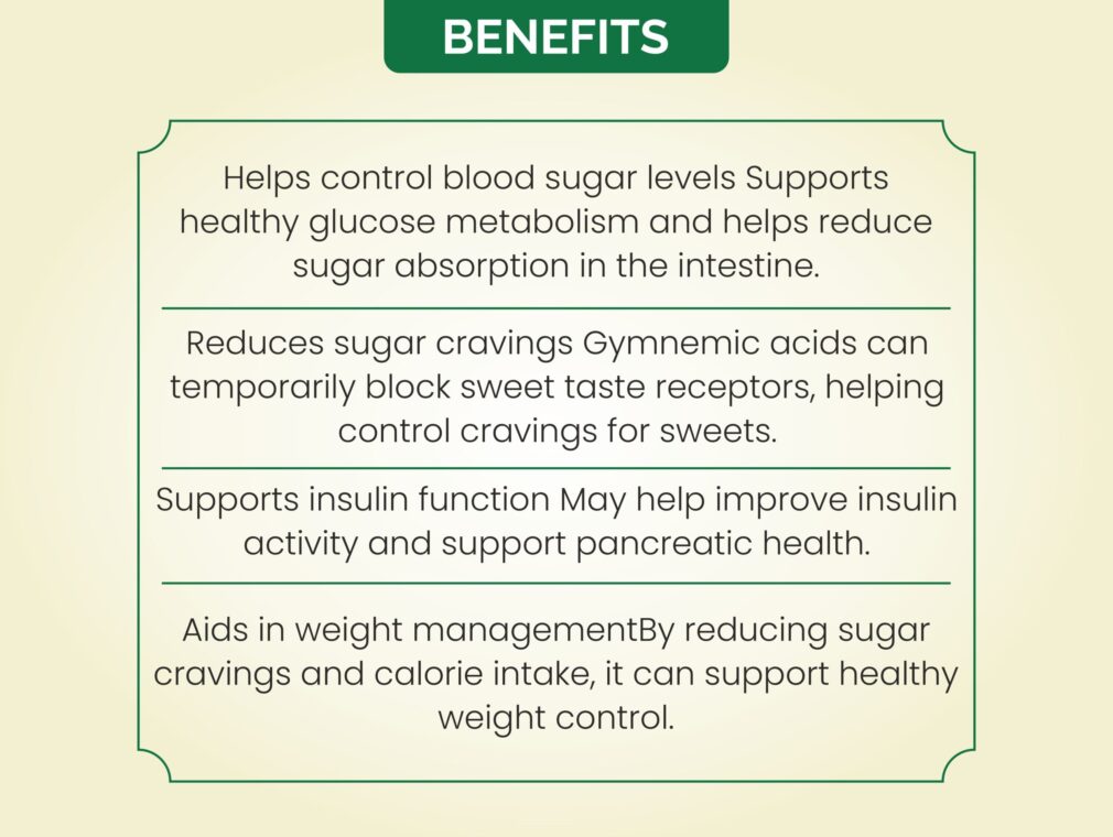 GYMNEMA SYLVESTRE 03.jpg