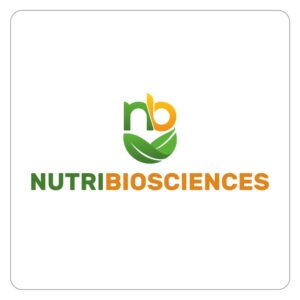 LOGO 31